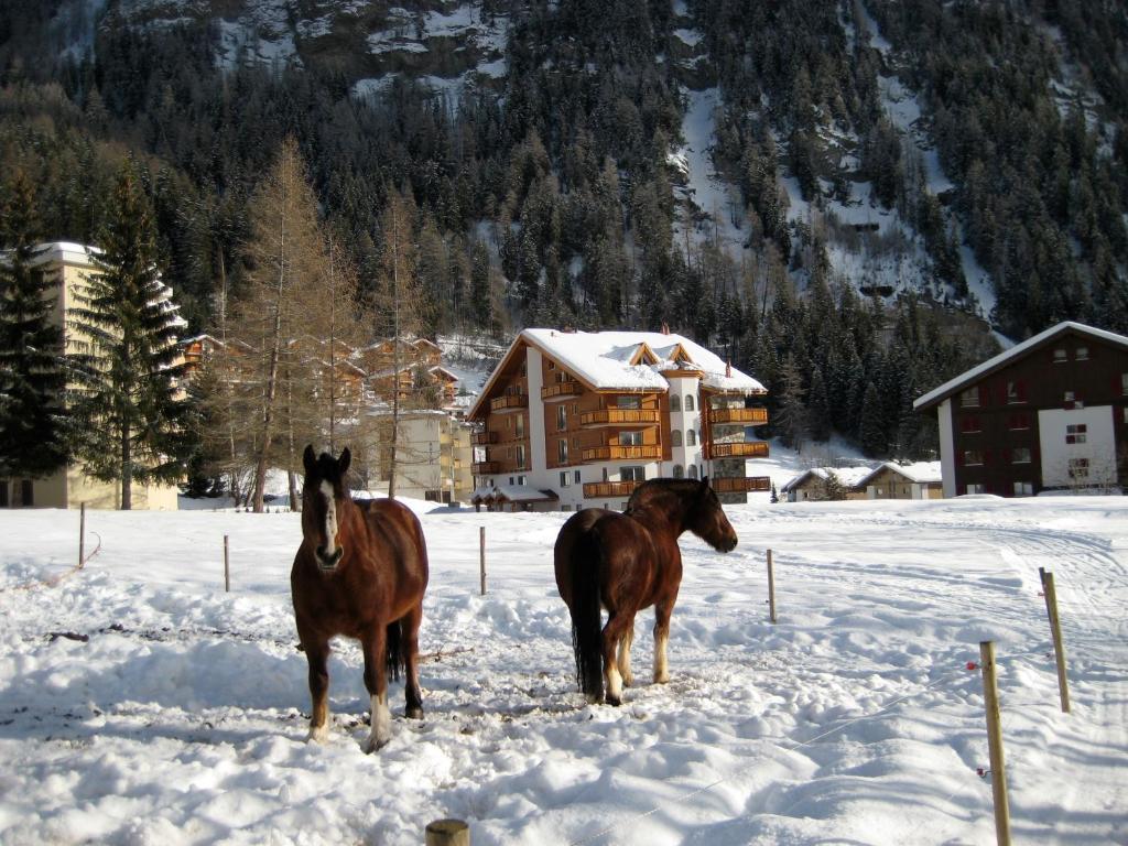 Residence Golf C 21 Leukerbad Bagian luar foto